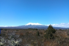 Tongariro National Park - 105