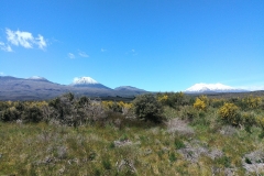 Tongariro National Park - 108