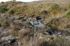 Tongariro National Park - 17