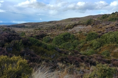 Tongariro National Park - 25