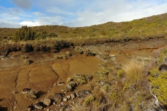 Tongariro National Park - 43