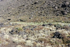 Tongariro National Park - 72