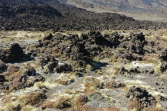 Tongariro National Park - 73