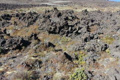 Tongariro National Park - 75