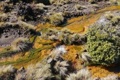 Tongariro National Park - 78