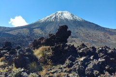 Tongariro National Park - 83