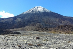 Tongariro National Park - 85