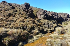 Tongariro National Park - 89