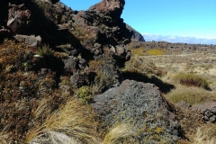 Tongariro National Park - 92