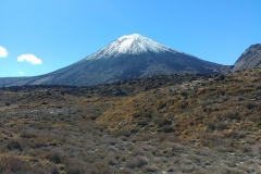 Tongariro National Park - 96