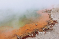 Wai-O-Tapu - 102