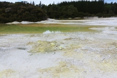 Wai-O-Tapu - 111