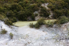 Wai-O-Tapu - 114