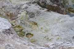 Wai-O-Tapu - 118