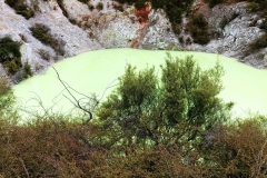 Wai-O-Tapu - 119