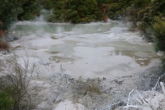 Wai-O-Tapu - 123