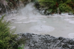 Wai-O-Tapu - 126