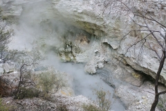 Wai-O-Tapu - 24