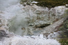 Wai-O-Tapu - 26