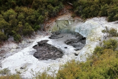 Wai-O-Tapu - 28