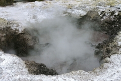 Wai-O-Tapu - 29