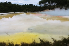 Wai-O-Tapu - 35