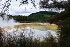 Wai-O-Tapu - 38