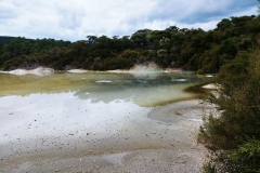 Wai-O-Tapu - 39