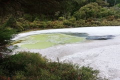 Wai-O-Tapu - 40