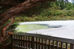 Wai-O-Tapu - 41