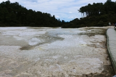 Wai-O-Tapu - 42