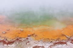 Wai-O-Tapu - 52