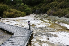 Wai-O-Tapu - 65