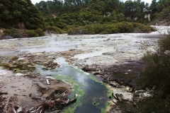 Wai-O-Tapu - 80