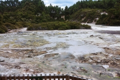 Wai-O-Tapu - 82