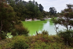 Wai-O-Tapu - 90