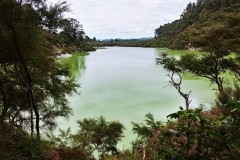 Wai-O-Tapu - 91