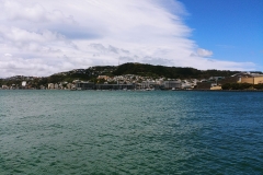 Wellington 10