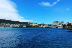 Wellington 11